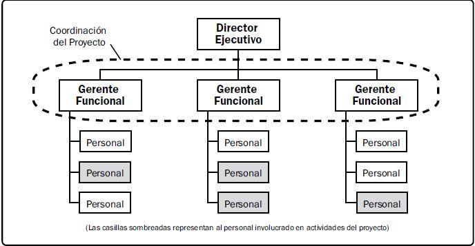 Estructura organizacional funcional